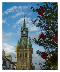 A clock tower that is a yellow-ish stone colour with green copper turrets at the top. Tree branches are visible at the right hand side, and the branches are decorated with large poppies, as part of the remembrance celebrations.