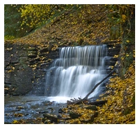 A small waterfall cascading over rocks, with autumnal leaves surrounding it.