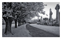 An infrared image, converted to monochrome. It shows a path in the foreground curving round towards the right. On the left side of the path is a row of trees with near white foliage. On the right is a line of tombstones and Celtic cross. There is grass at each side of the path which is also near white in colour.