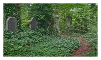 A wildly overgrown old graveyard. There are some old tombstones on either size of a barely visible path, with trees behind and to the sides of the stones. The ground is covered in grass and other green foliage. Ivy covers some of the trees and monuments.