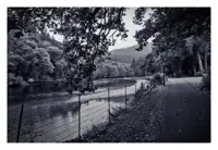 A monochrome image showing a footpath alongside a river. The opposite bank is filled with trees and there are trees visible in distance overhanging the path. There are a couple of Victorian style lamp posts along the side of the path.