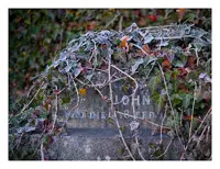 A partial view of the top of a gravestone, with the text 'John... who died 18 Feb...' just visible. The stone is covered in ivy obscuring other details. It's a frosty day and many of the leaves have a white frost on them.