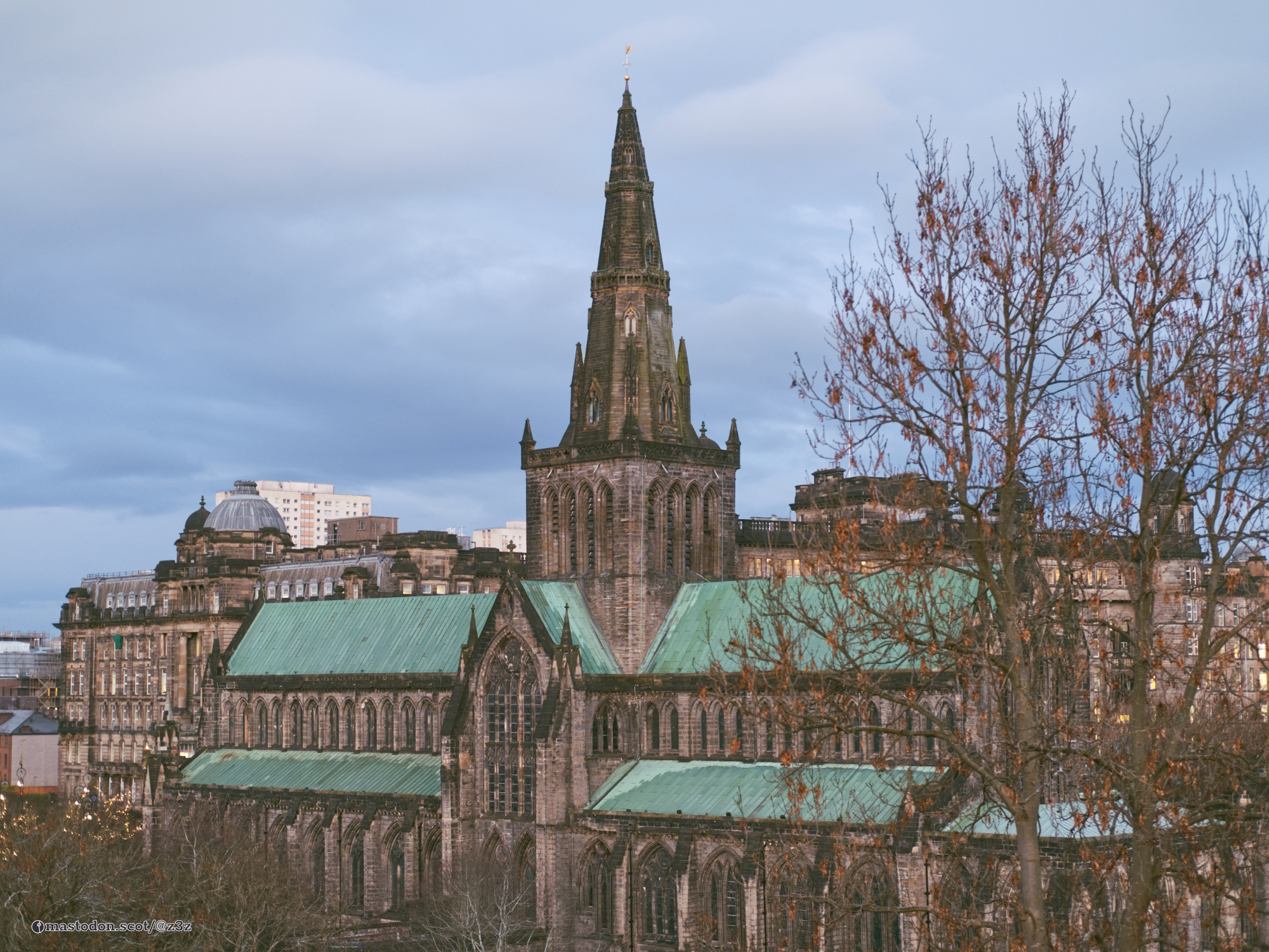 A view of Glasgow Cathedral with an almost bare tree at the right